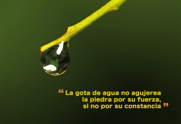 La gota de agua no agujerea la piedra por su fuerza, si no por su constancia