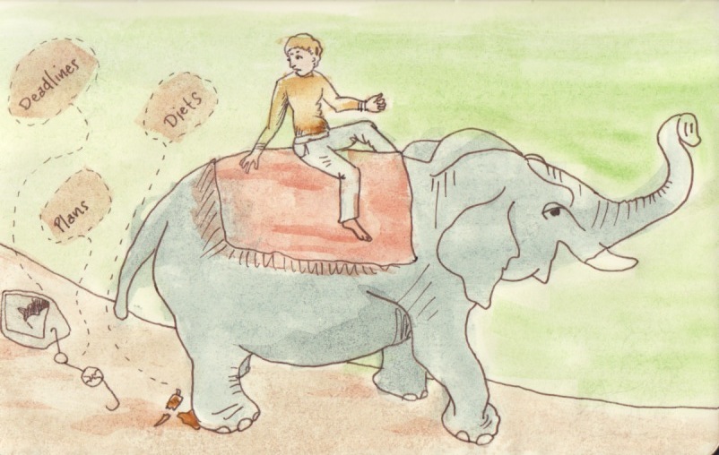 Jinete y elefante